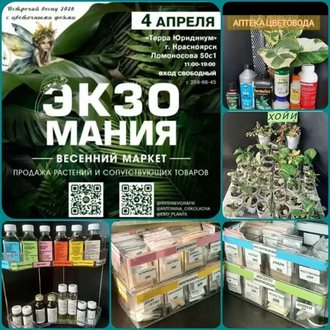 Выставка ЭкзоМания: хойи, мох магелланский, средства защиты растений HESI - Хобби и отдых в Красноярск