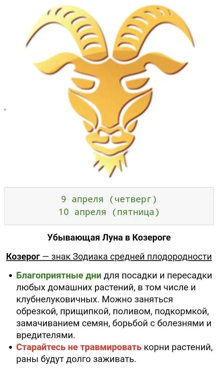 Лунный календарь для комнатных растений - Комнатные растения (Хобби и отдых) в Красноярск