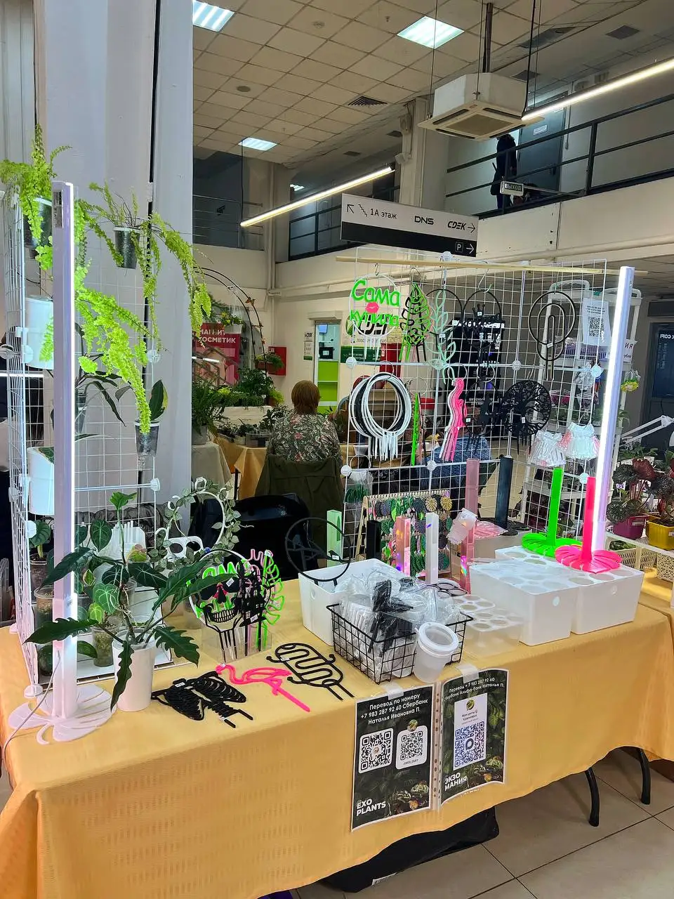 Суккулент-маркет в Красноярске - Комнатные растения (Хобби и отдых) в Красноярск