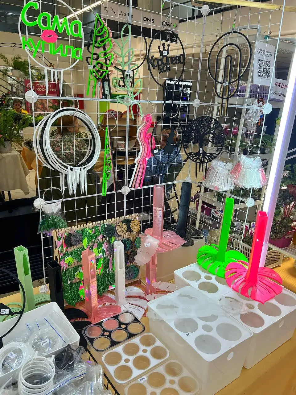 Суккулент-маркет в Красноярске - Комнатные растения (Хобби и отдых) в Красноярск