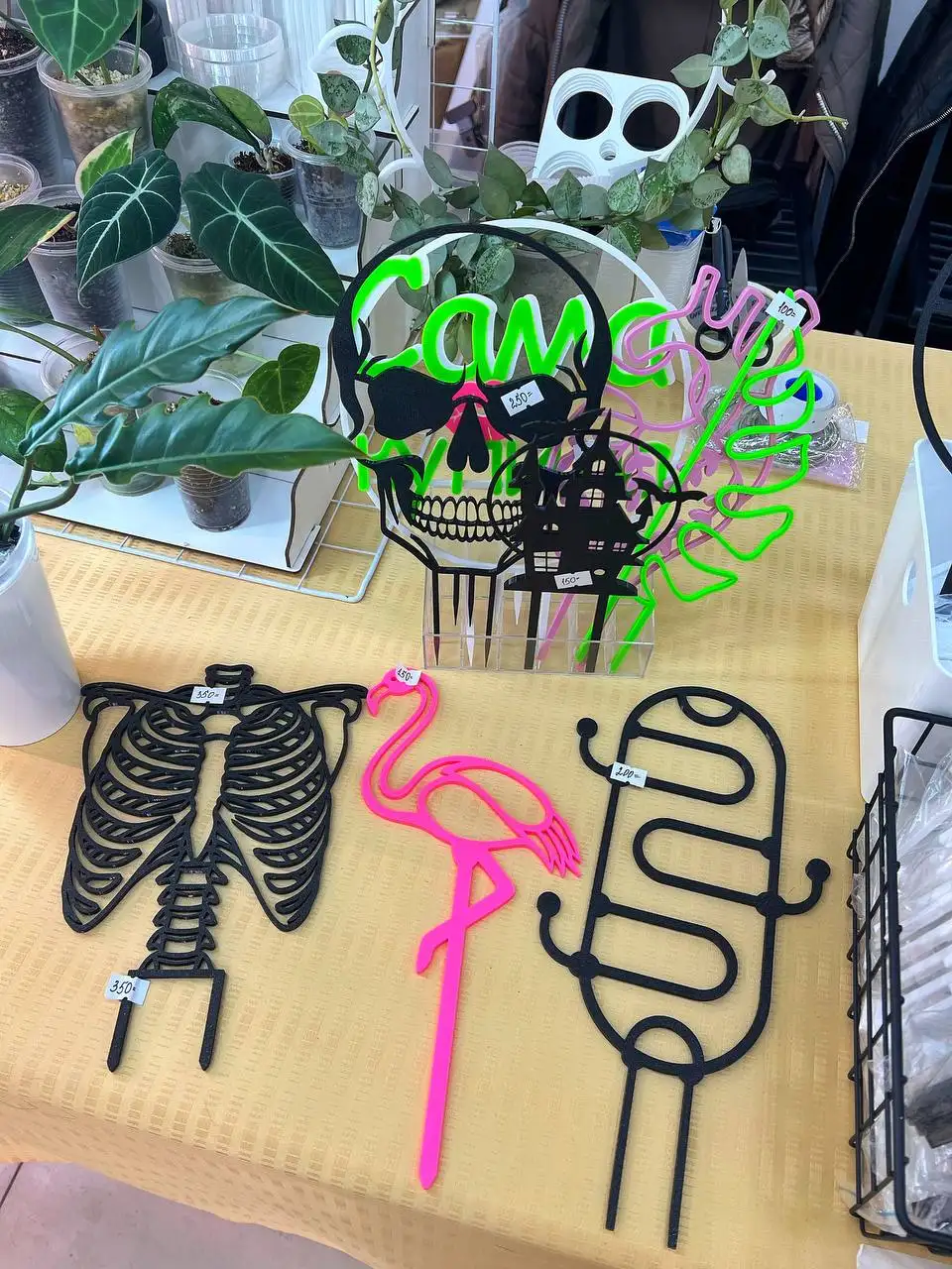 Суккулент-маркет в Красноярске - Комнатные растения (Хобби и отдых) в Красноярск