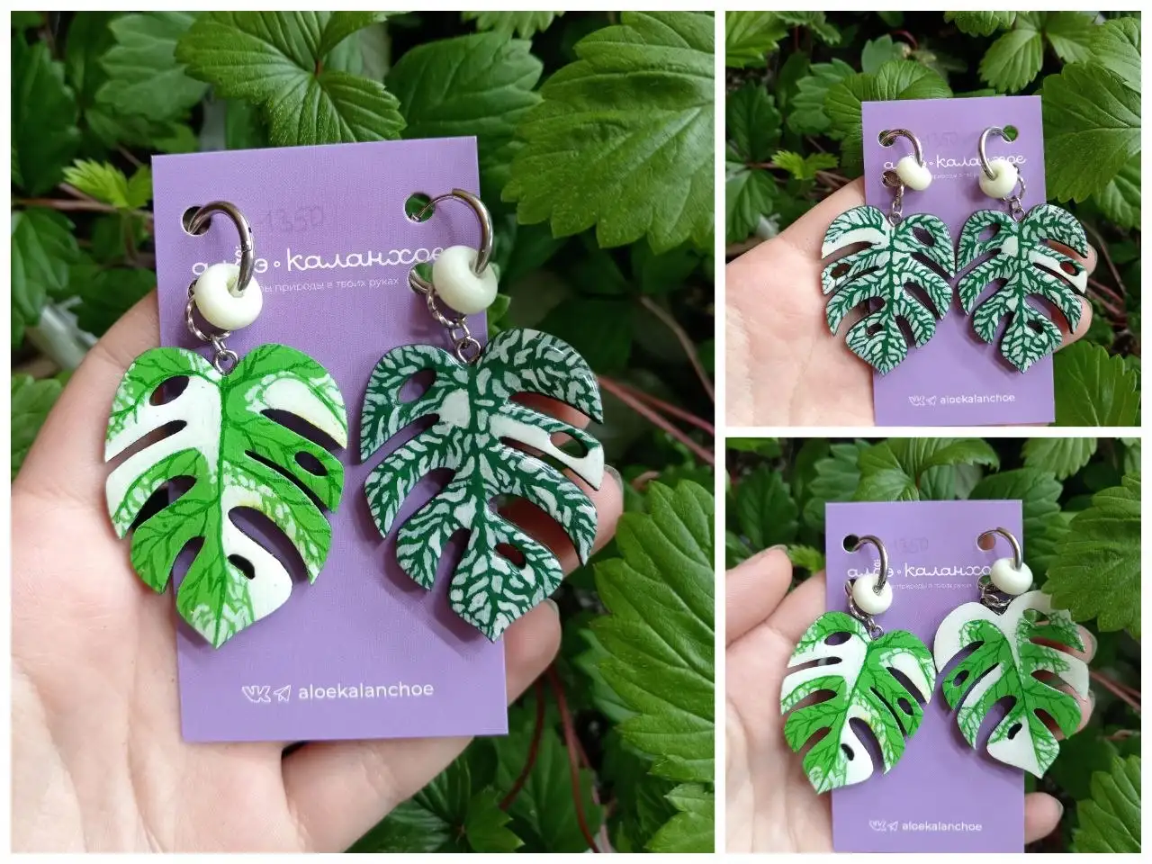 Продажа подвесов, рассады земляники, кашпо, сеянцев дисхидии, комнатной розы, серег и кафф - Барахолка в Красноярск