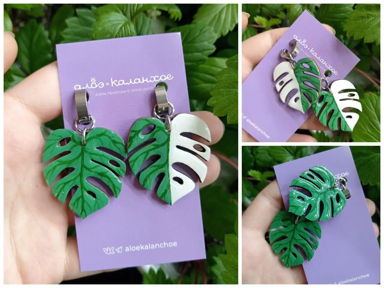 Продажа подвесов, рассады земляники, кашпо, сеянцев дисхидии, комнатной розы, серег и кафф - Барахолка в Красноярск