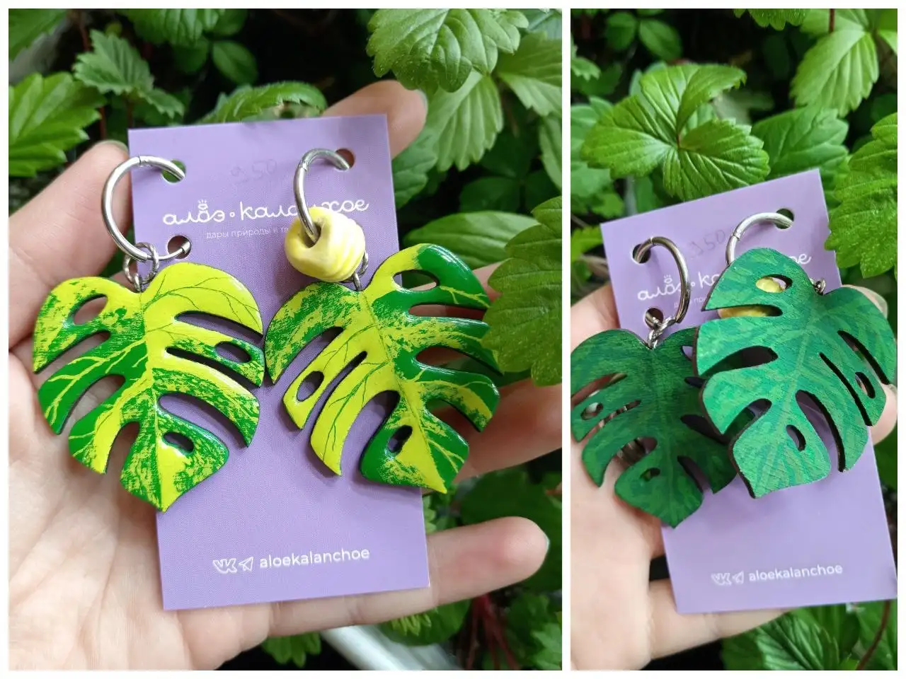 Продажа подвесов, рассады земляники, кашпо, сеянцев дисхидии, комнатной розы, серег и кафф - Барахолка в Красноярск