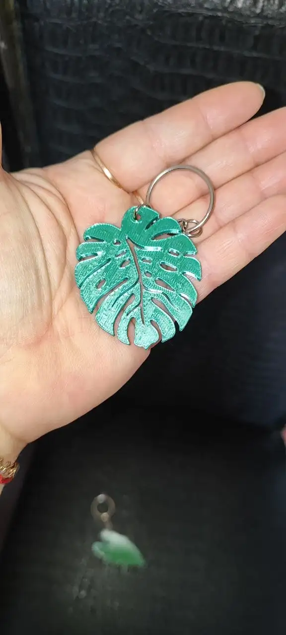 Комнатные растения в Красноярске - Комнатные растения (Хобби и отдых) в Красноярск