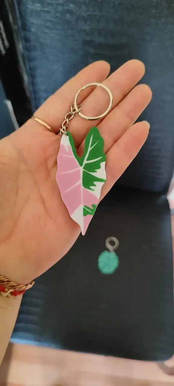 Комнатные растения в Красноярске - Комнатные растения (Хобби и отдых) в Красноярск