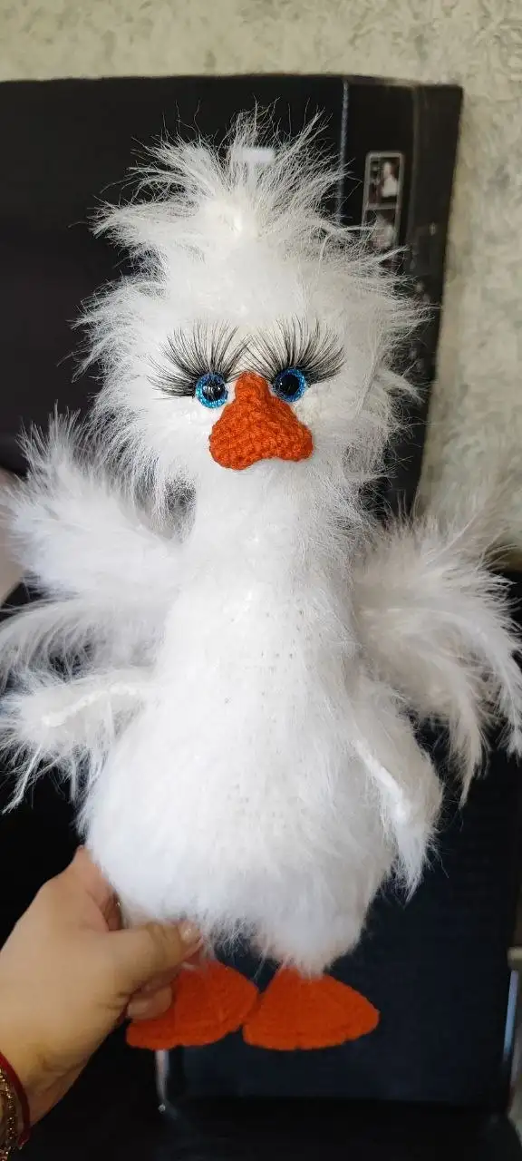 Комнатное растение Юля Ароидные - Комнатные растения (Хобби и отдых) в Красноярск