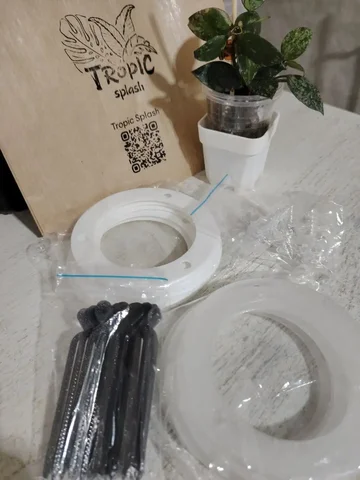 Покупки комнатных растений с выставки в Красноярске - Флорариумы в Красноярск