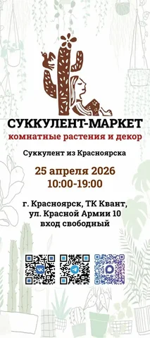 Весенний Суккулент-маркет комнатных растений и декора в Красноярске - Встречи с писателями в Красноярск