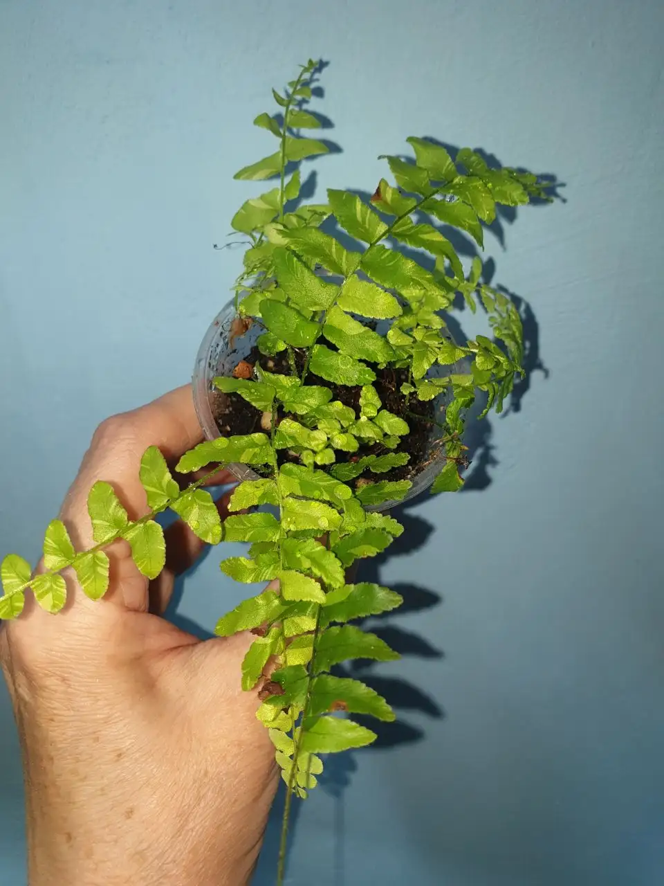 Тайгер вар 450 - Барахолка в Красноярск