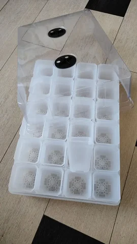 Тепличка для растений 43x30 см - Техника для кухни в Красноярск