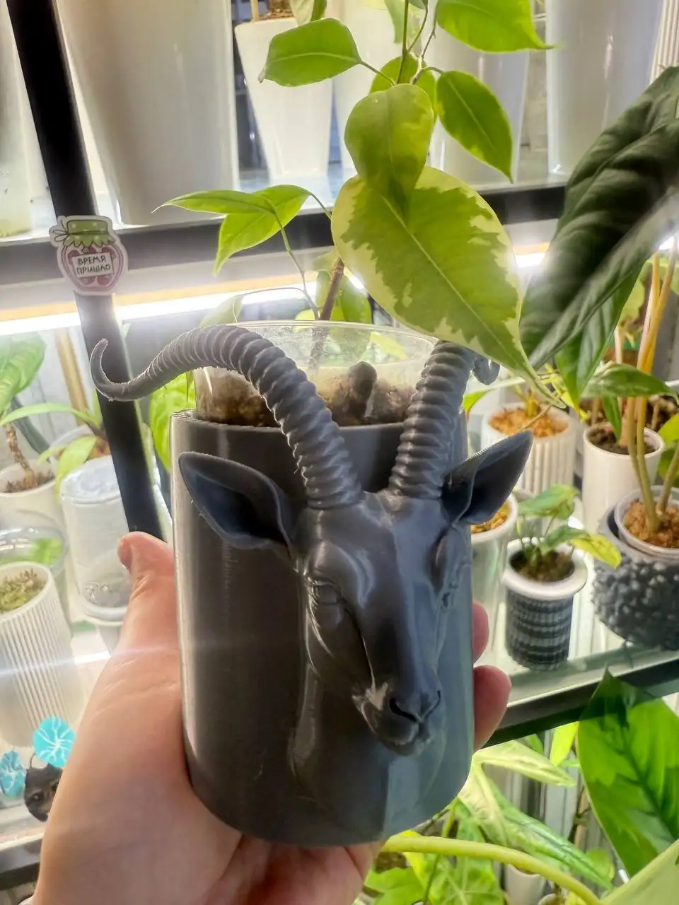 Мастер-класс по созданию будд и семейного благосостояния - Хобби и отдых в Красноярск