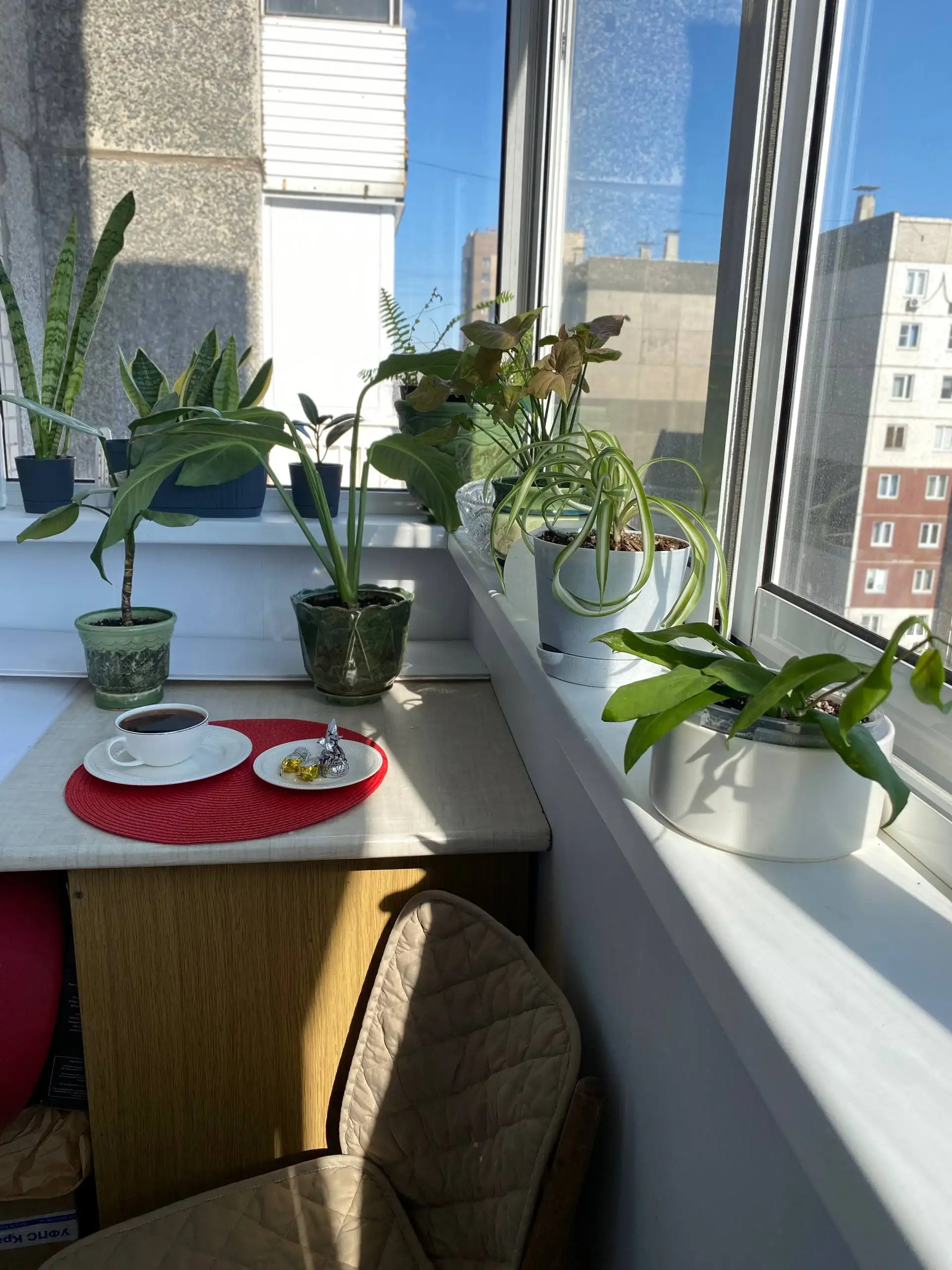 Солнечное утро и растения на балконе - Садоводство (Хобби и отдых) в Красноярск