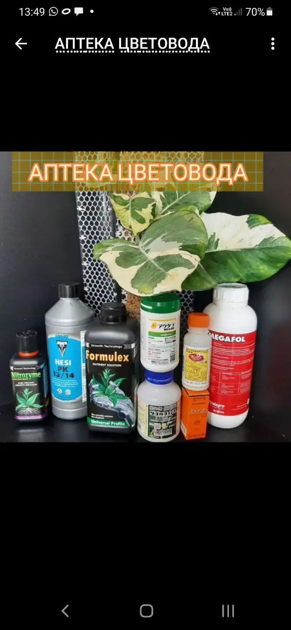 Средства защиты растений и удобрения - Для дома и дачи в Красноярск