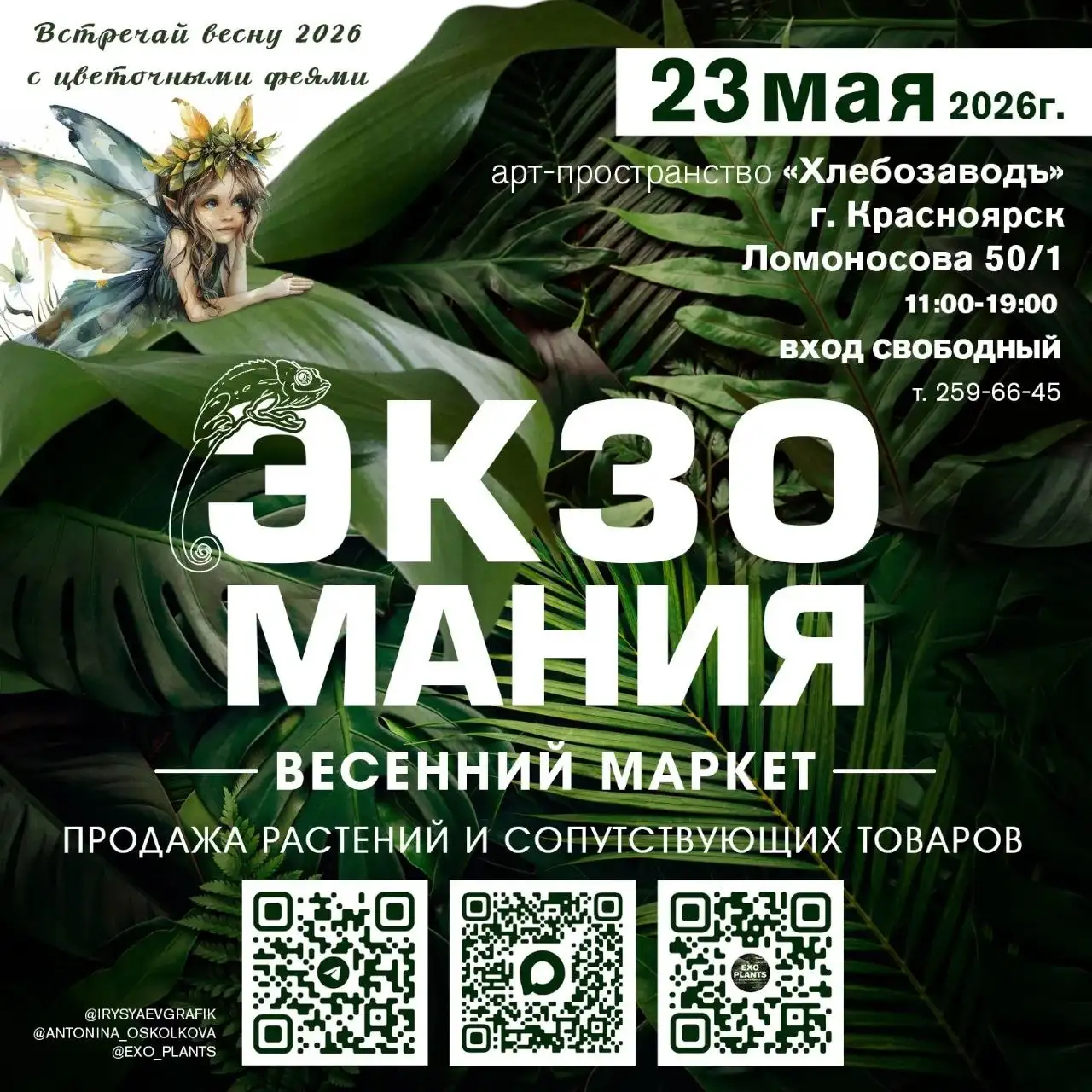 Набор участников на маркет растений в Хлебозаводе - Растения и сад (Хобби и отдых) в Красноярск