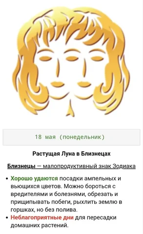 Консультации по уходу за комнатными растениями с учетом местоположения и опыта - Организация мероприятий в Красноярск