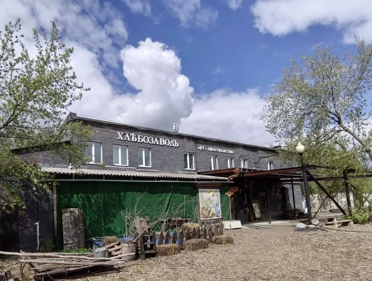 Растительный маркет в Хлебозаводе - Растения (Для дома и дачи) в Красноярск