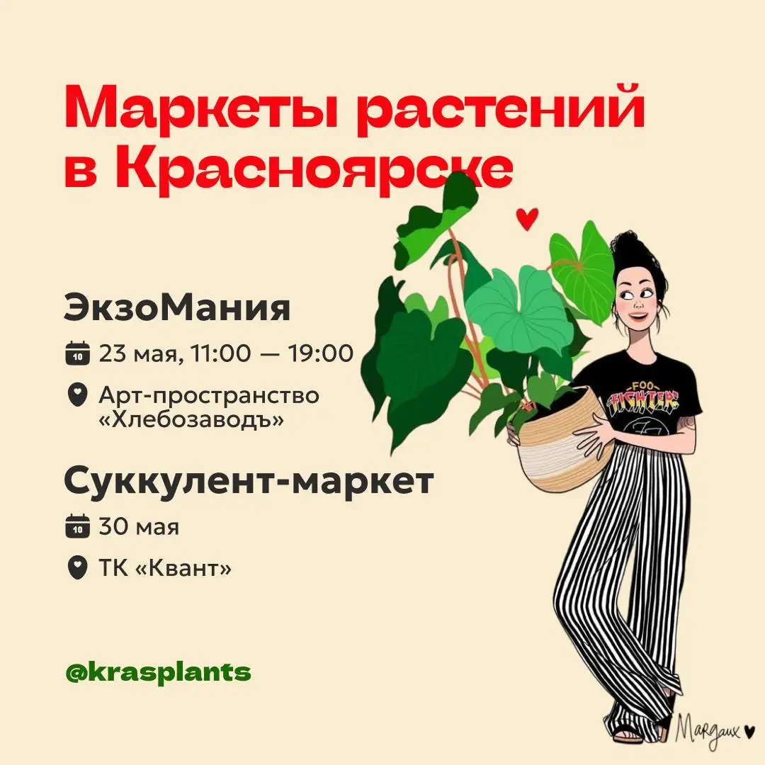 Цветочные сходки в Красноярске - Комнатные растения (Хобби и отдых) в Красноярск