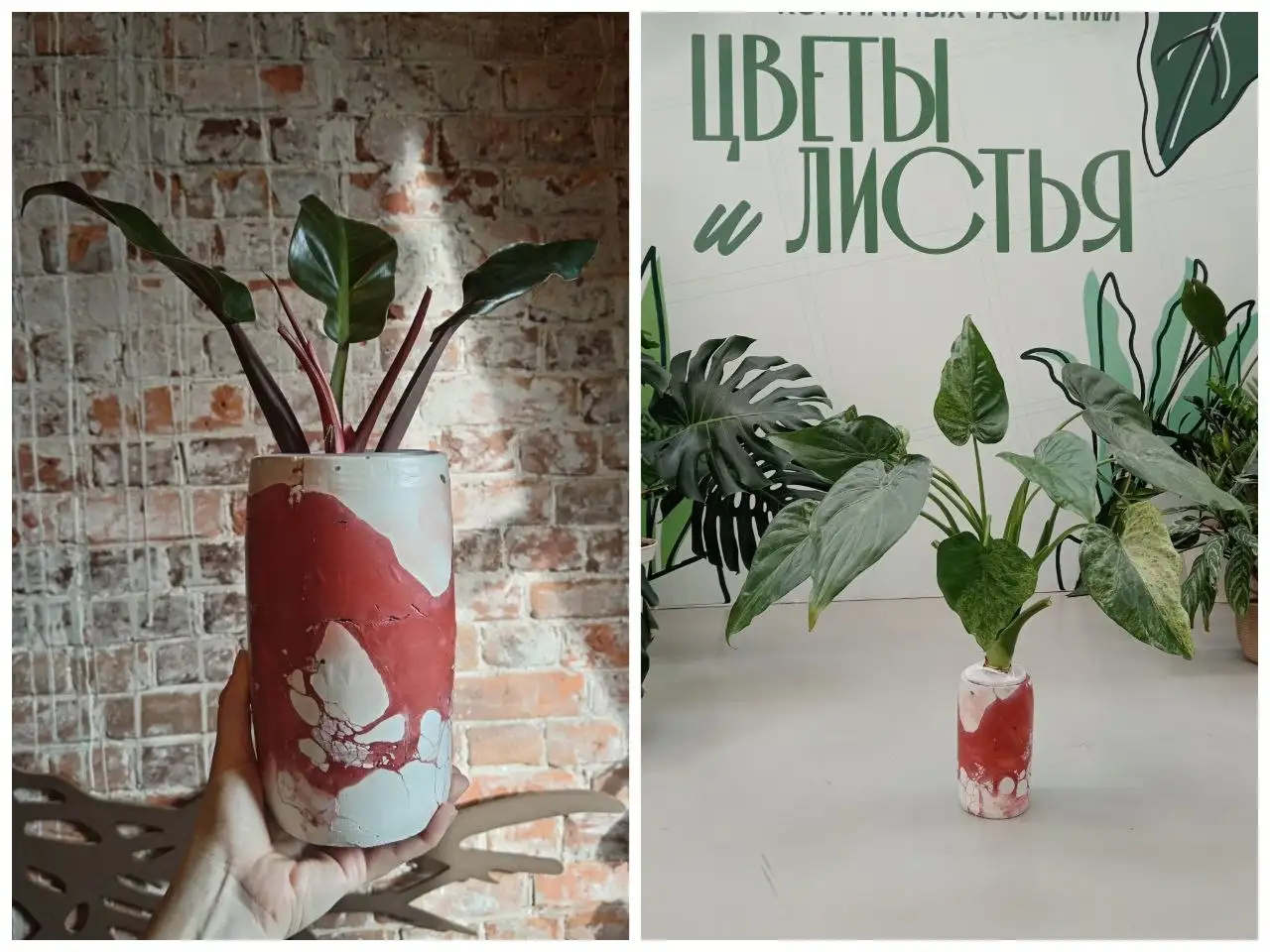Кашпо из бетона и подвесы - Кашпо и горшки (Для дома и дачи) в Красноярск