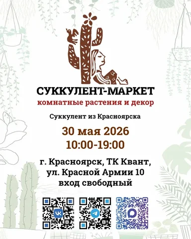 Суккулент-маркет в Красноярске - Ручная работа в Красноярск
