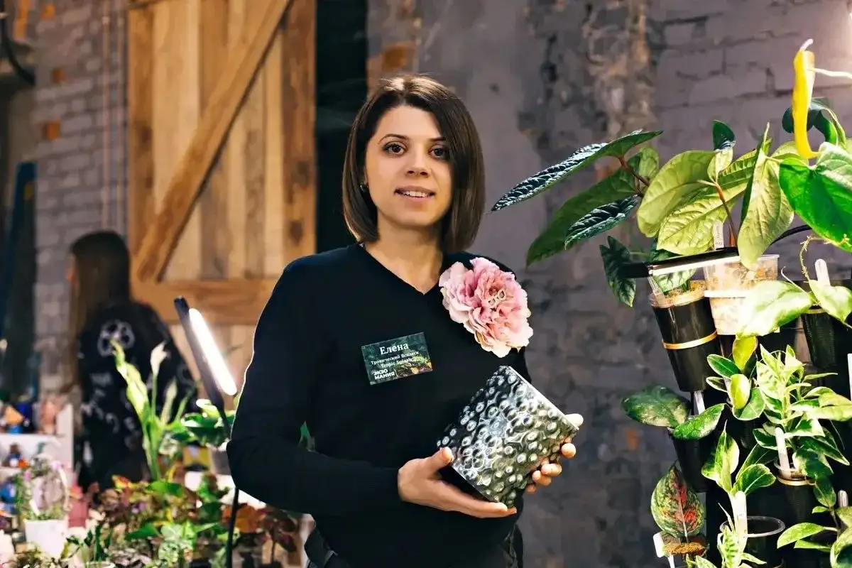 Растения Tropic Splash - Растения (Барахолка) в Красноярск
