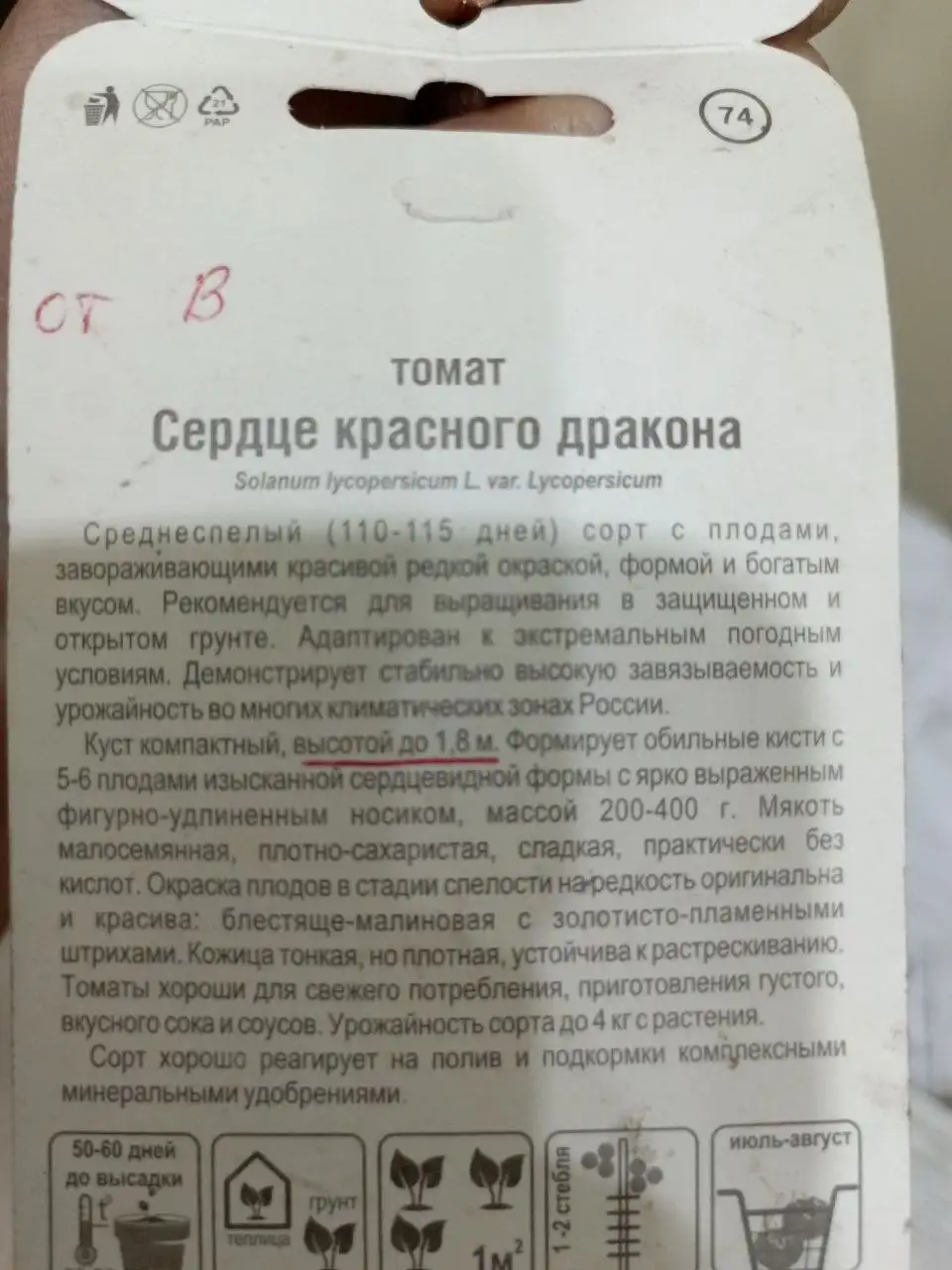 Саженцы томата Сердце дракона - Рассада и саженцы (Растения) в Красноярск