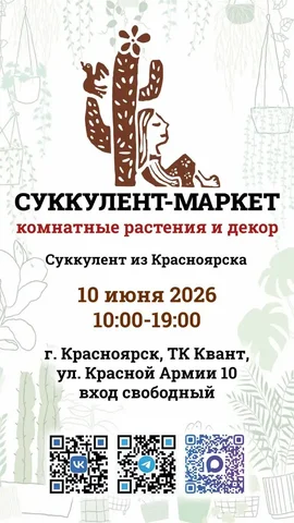 Суккулент-маркет комнатных растений и декора - Мягкие игрушки в Красноярск