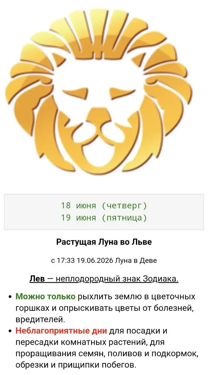 Комнатные растения в Красноярске - Работа в Красноярск