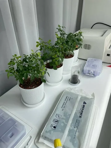 Ищу средство для обработки комнатных растений - Хобби и отдых в Железнодорожный