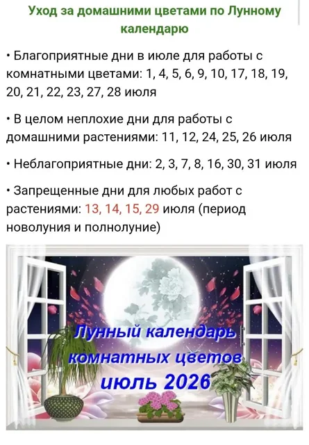 Лунный календарь на июль 2026 для комнатных растений - Доставка еды в Красноярск