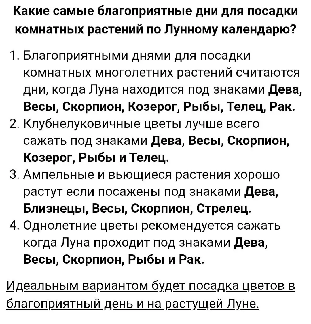 Лунный календарь на июль 2026 для комнатных растений - Услуги в Красноярск
