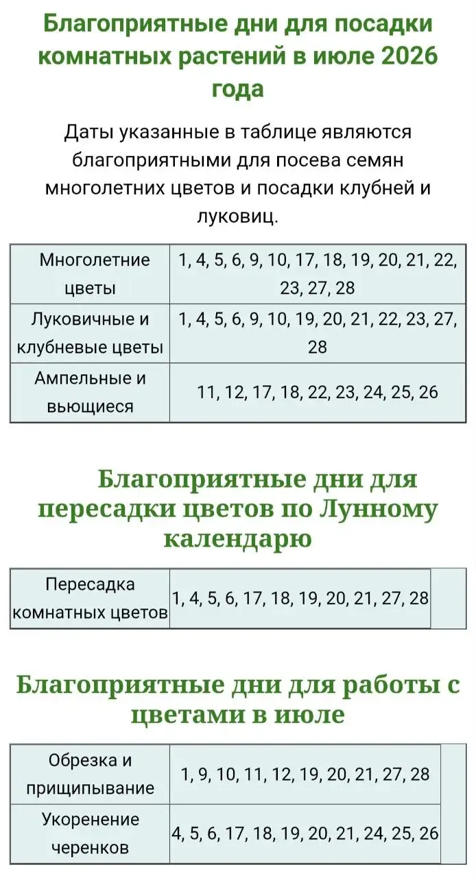 Лунный календарь на июль 2026 для комнатных растений - Услуги в Красноярск