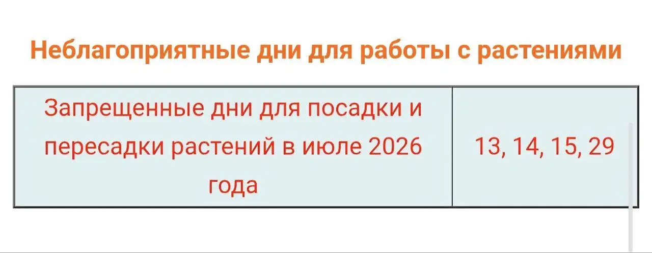 Лунный календарь на июль 2026 для комнатных растений - Услуги в Красноярск