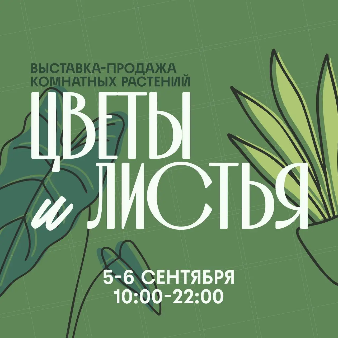 Выставка-продажа комнатных растений «Цветы и листья» - Цветы и растения (Хобби и отдых) в Красноярск