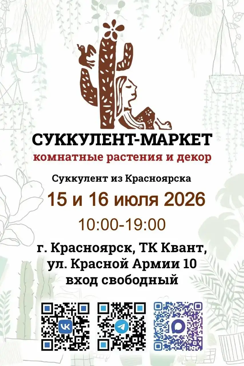 Суккулент-маркет комнатных растений и декора - Услуги в Красноярск