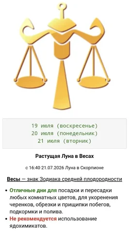 Продажа комнатных растений - Велосипеды и самокаты в Красноярск