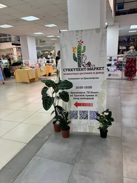 Суккулент-маркет в ТК КВАНТ - Чай в Красноярск
