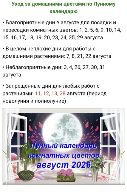 Лунный календарь на август для комнатных растений - Музыкальные инструменты в Красноярск