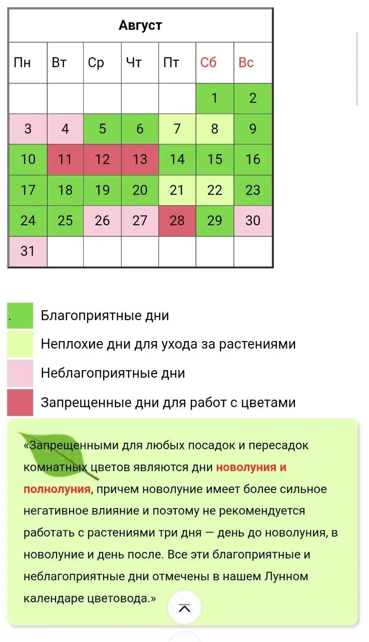 Лунный календарь на август для комнатных растений - Растения (Хобби и отдых) в Красноярск