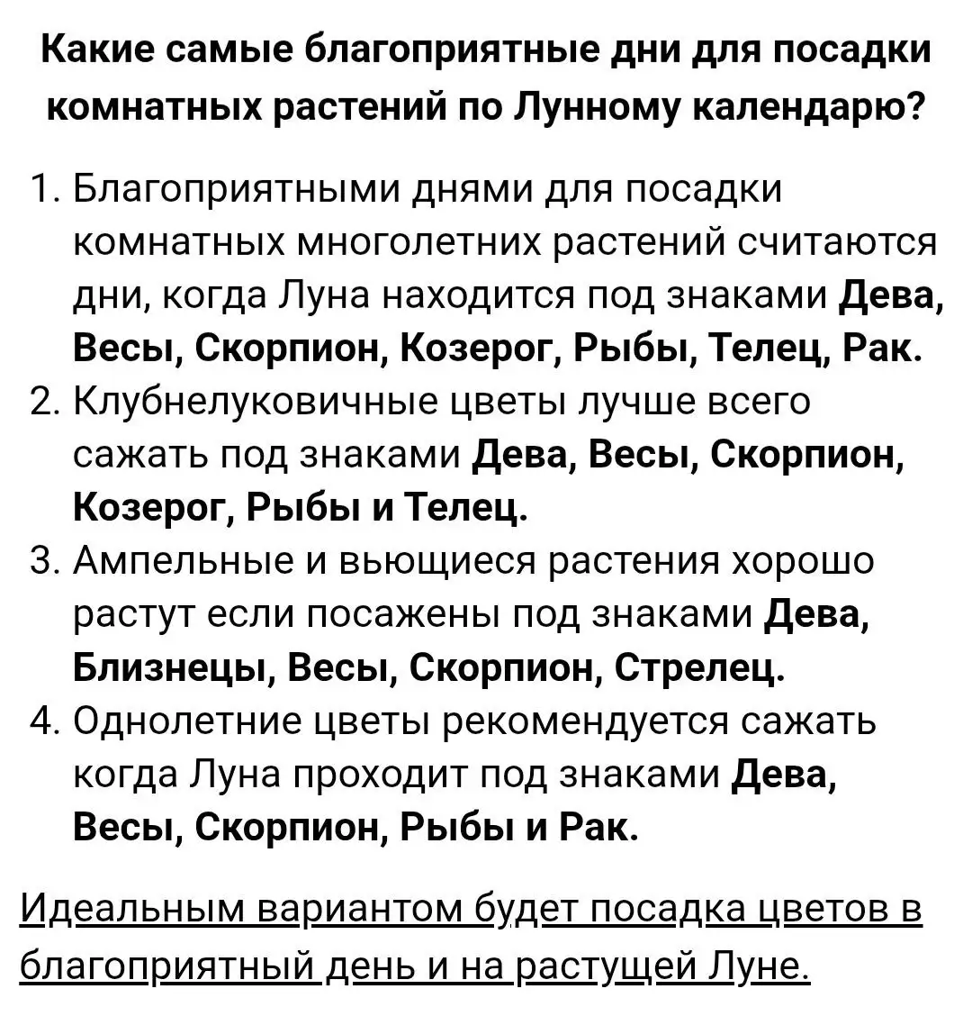 Лунный календарь на август для комнатных растений - Растения (Хобби и отдых) в Красноярск