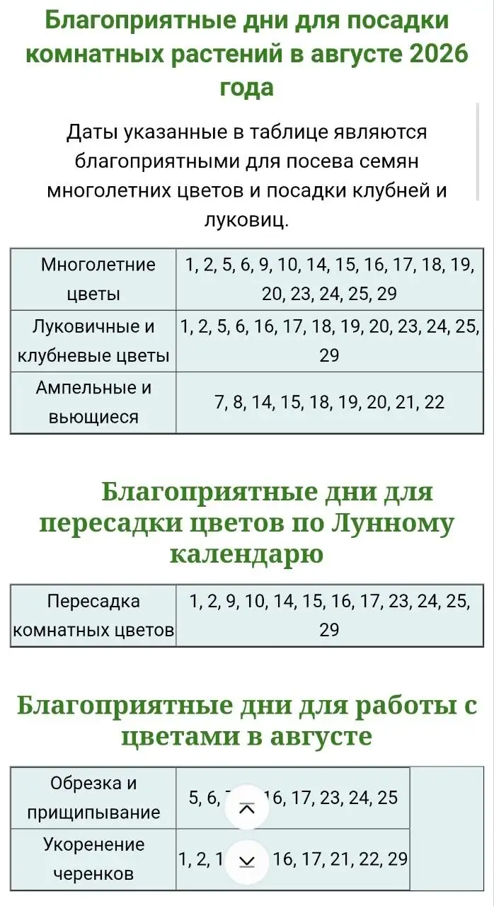 Лунный календарь на август для комнатных растений - Растения (Хобби и отдых) в Красноярск