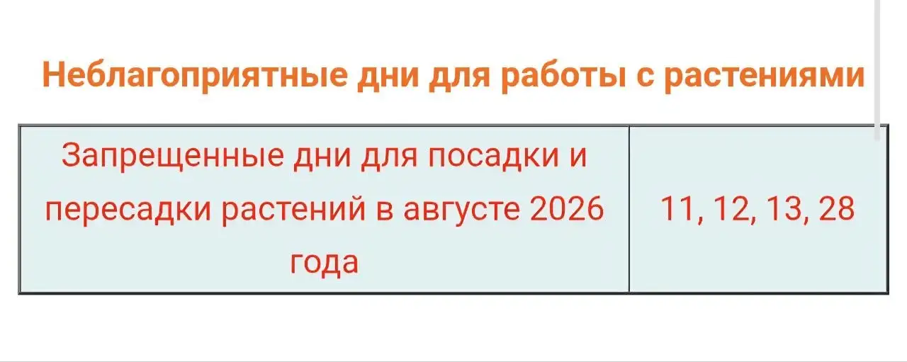 Лунный календарь на август для комнатных растений - Растения (Хобби и отдых) в Красноярск