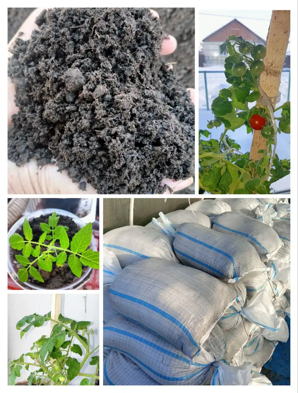 Грунт для рассады и цветов - Растения и сад (Для дома и дачи) в Урик