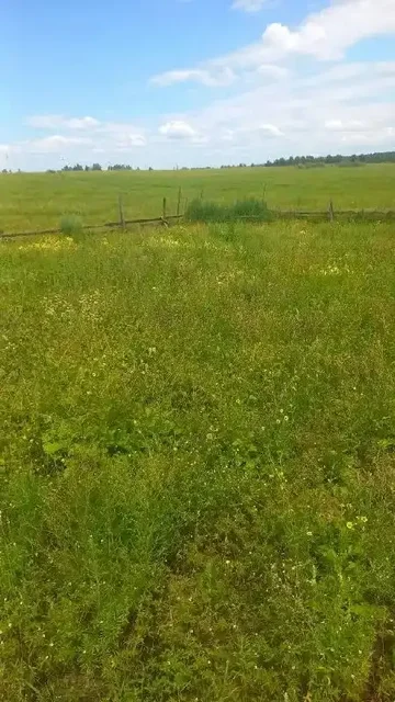 Продажа земельного участка в деревне Московщина - Земельные участки в Иркутск