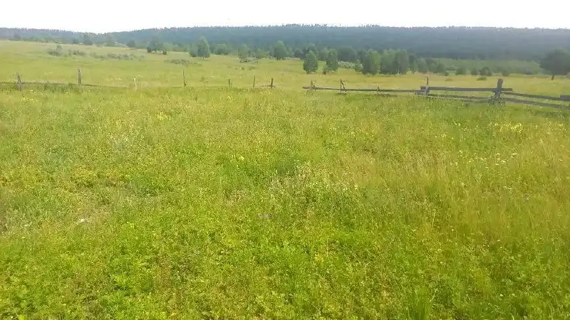 Продажа земельного участка в деревне Московщина - Земельные участки (Недвижимость) в Иркутск