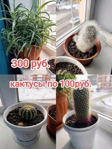 Продажа вещей в Шелехове - Барахолка в Шелехов