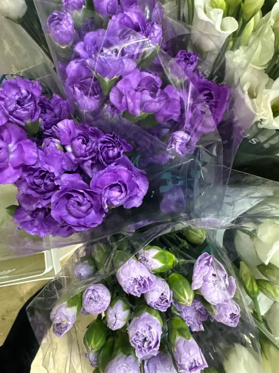 Доставка цветов по всей России со скидкой - Доставка цветов (Услуги) в Иркутск