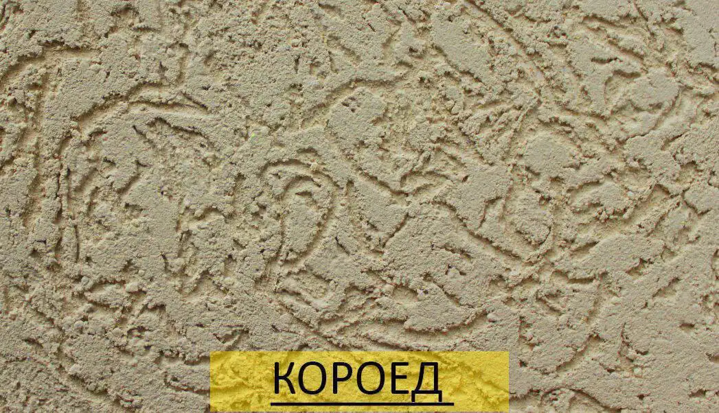 Декоративная штукатурка «Короед» для фасада и интерьера - Отделочные работы (Услуги) в Иркутск