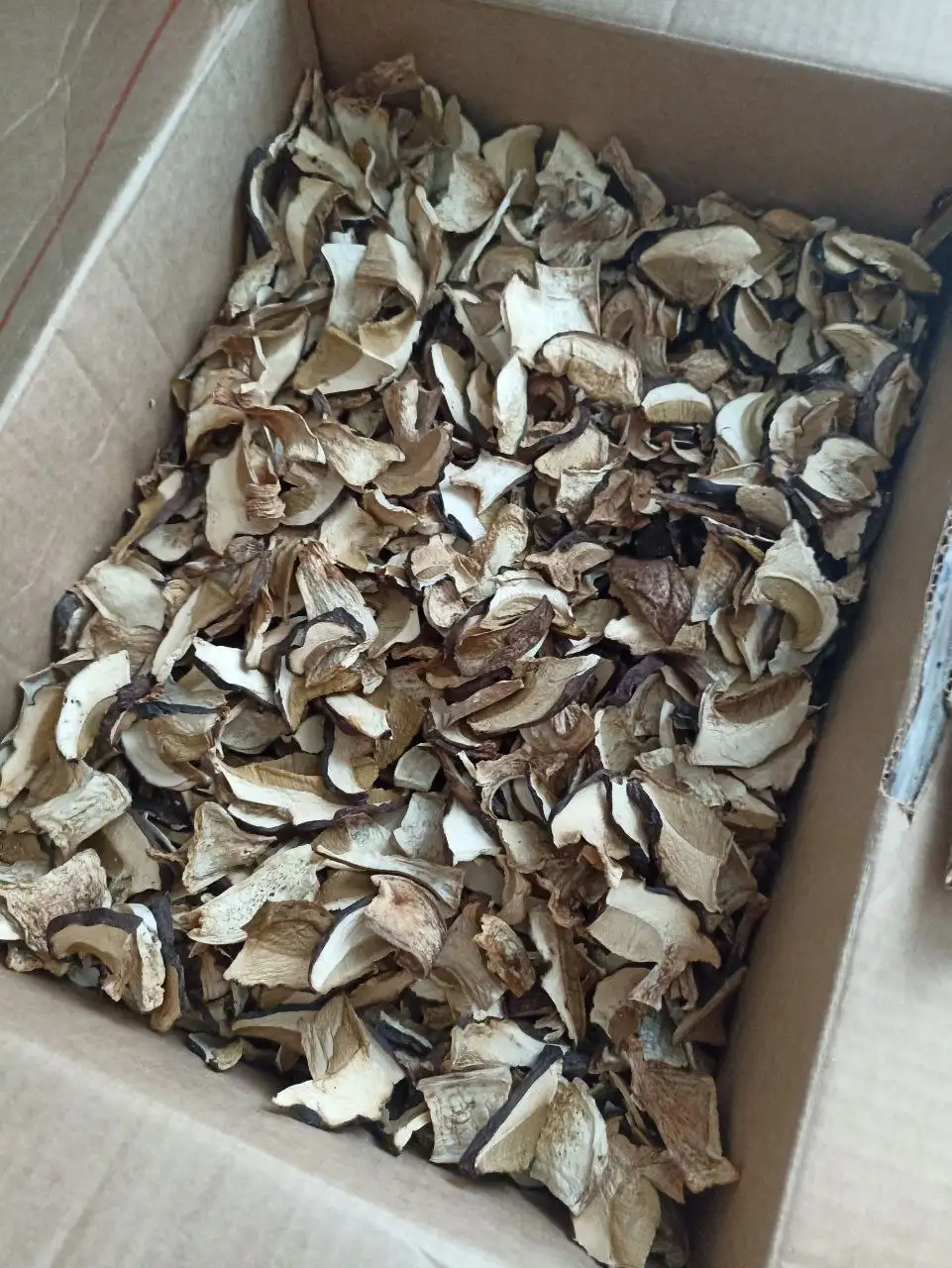 Продажа белых сухих грибов и красноголовиков - Грибы (Хобби и отдых) в Шелехов