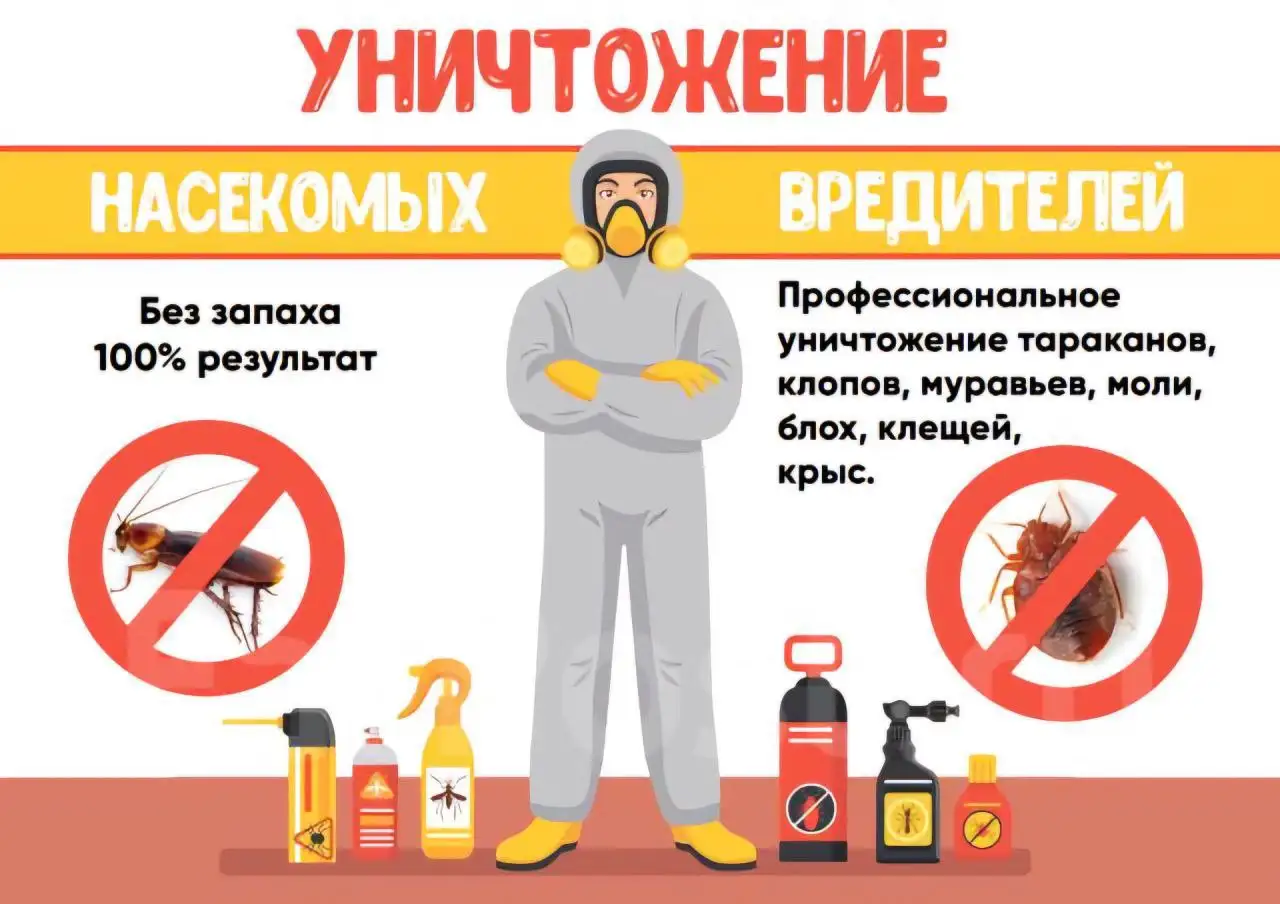 Уничтожение насекомых - Дезинсекция (Услуги) в Иркутск